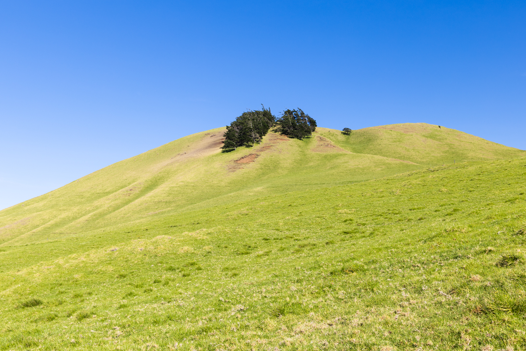65-1235 Opelo Road, Unit 5 Kamuela, HI 96743 - Photo 17 of 17 a view of an ocean