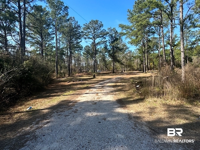 17245 County Road 87 Elberta, AL 36530 - Photo 1 of 11