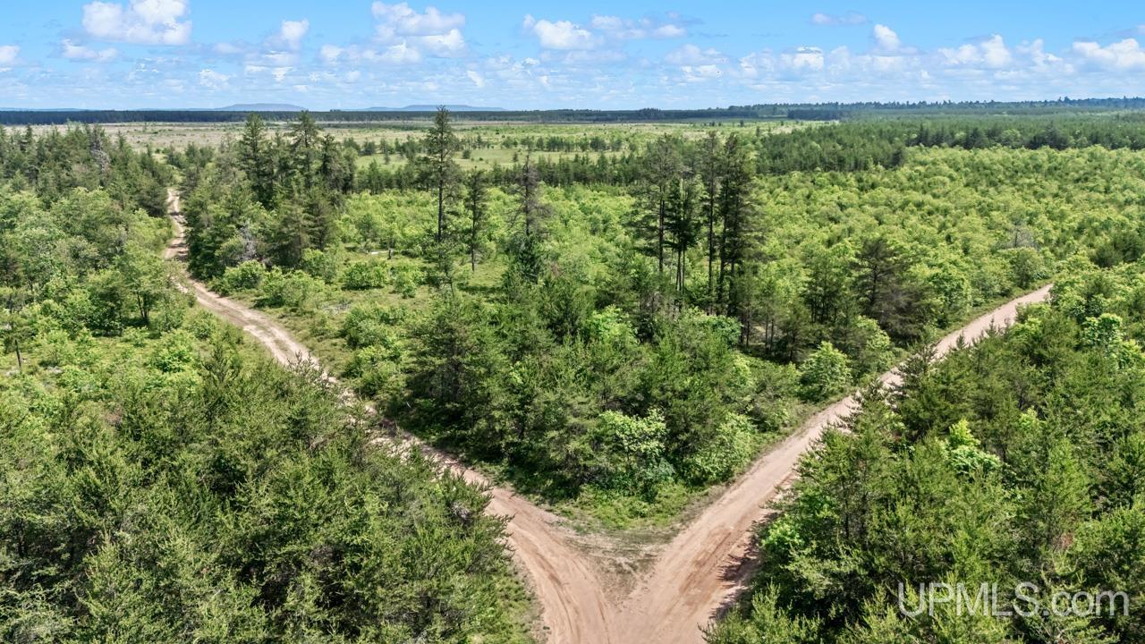 Tbd Bryan Creek Road Ishpeming, MI 49849 - Photo 14 of 16