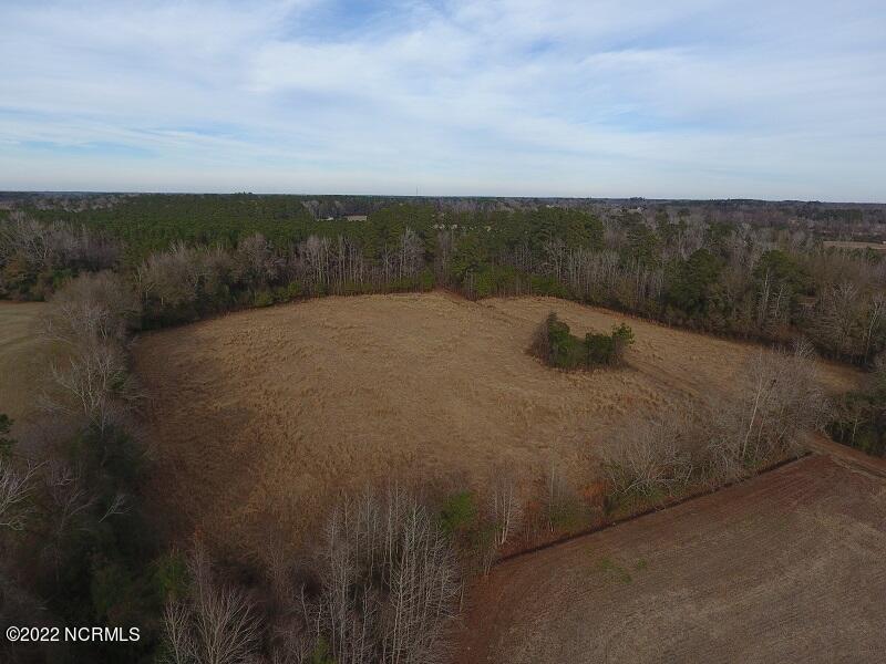 0 Kemper Church Road Lake View, SC 29563 - Photo 8 of 13 IMG_0842