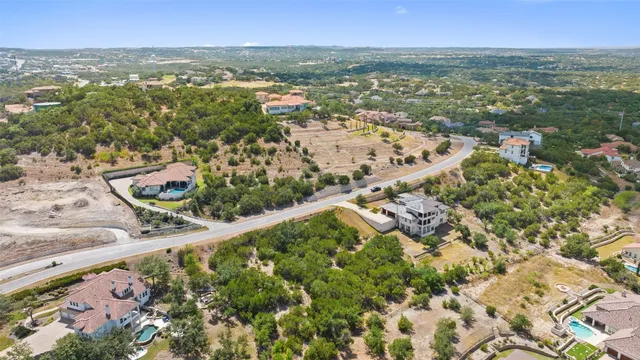 a view of a garden with a tree