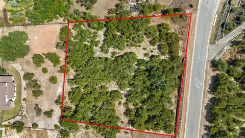 a view of a backyard with plants
