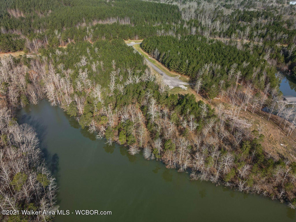 Lot#89 Stoney Point Road North Double Springs, AL 35553 - Photo 24 of 32 Gallery Image 24
