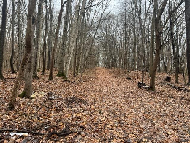 -rear East Toto Road Knox, IN 46534 - Photo 2 of 10 640x480