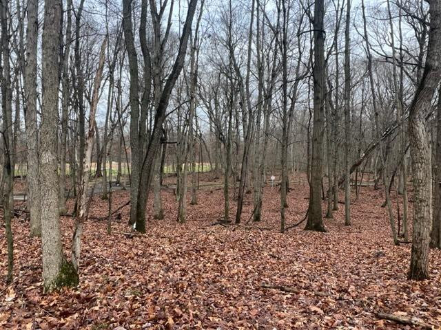 -rear East Toto Road Knox, IN 46534 - Photo 6 of 10 640x480