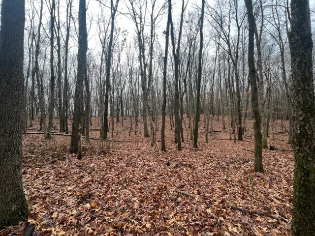 -rear East Toto Road Knox, IN 46534 - Photo 7 of 10 640x480