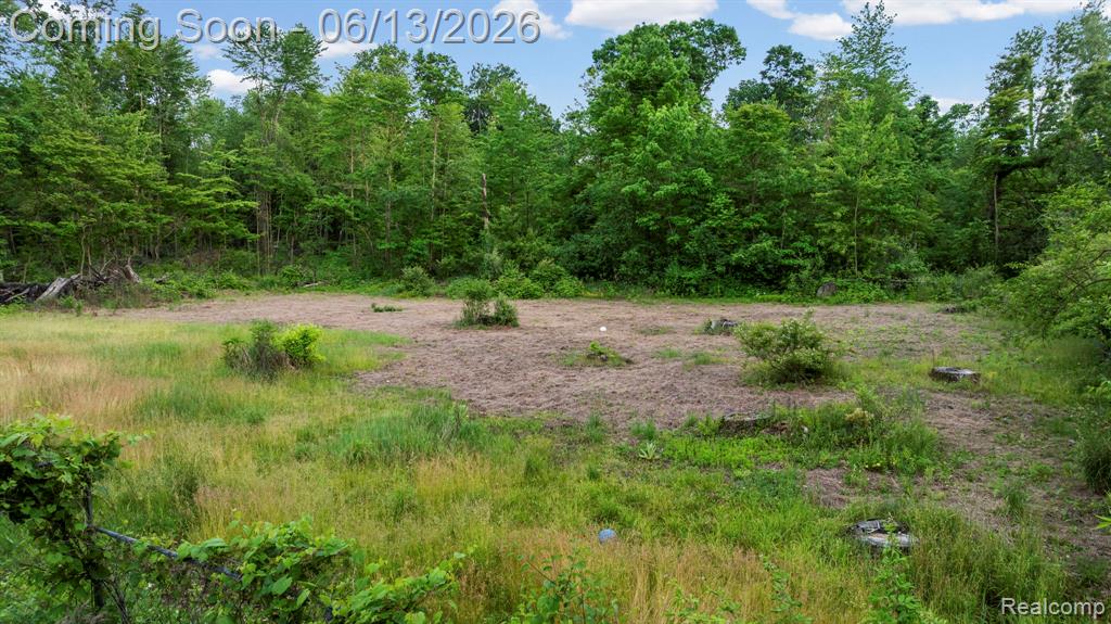51105 Arkona Road Belleville, MI 48111 - Photo 25 of 32