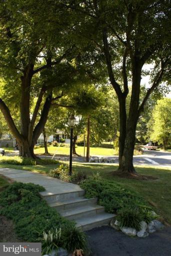 7016 Sea Cliff Road McLean, VA 22101 - Photo 22 of 26 GORGEOUS LOT & LANDSCAPING