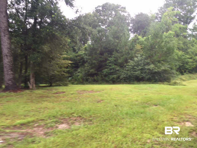 2518 Herman B Towner Street Eight Mile, AL 36613 - Photo 12 of 13