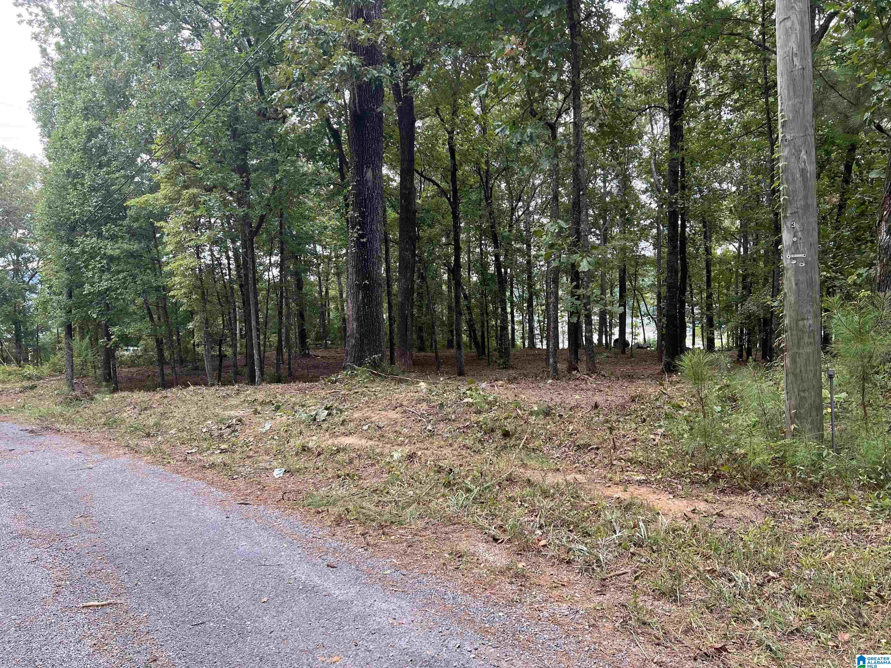 1 Centaurus Circle, Unit 2 Alpine, AL 35014 - Photo 9 of 15
