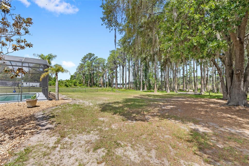 7907 Florida Boys Ranch Road Groveland, FL 34736 - Photo 58 of 80 Gallery Image 58