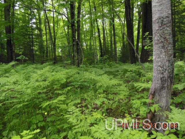Chief Lake Road Republic, MI 49879 - Photo 4 of 4