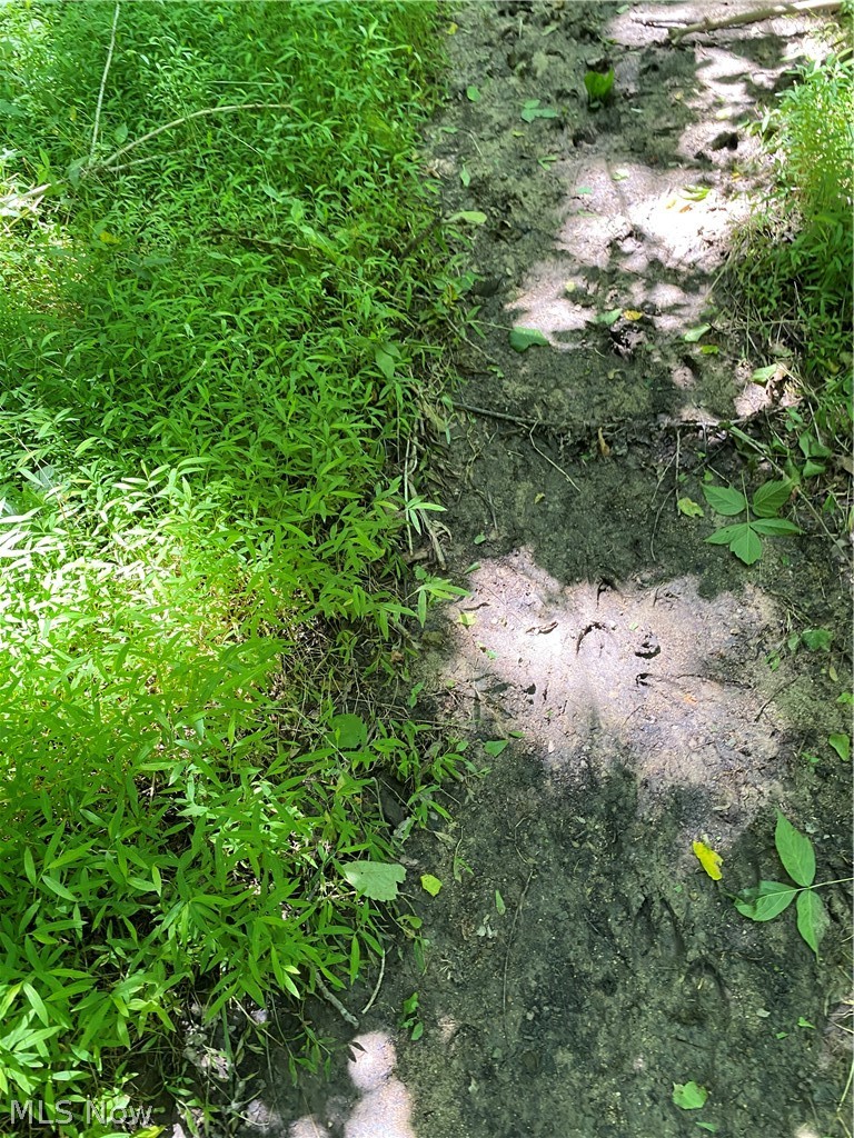 Ashton Hill Road Caldwell, OH 43724 - Photo 22 of 26