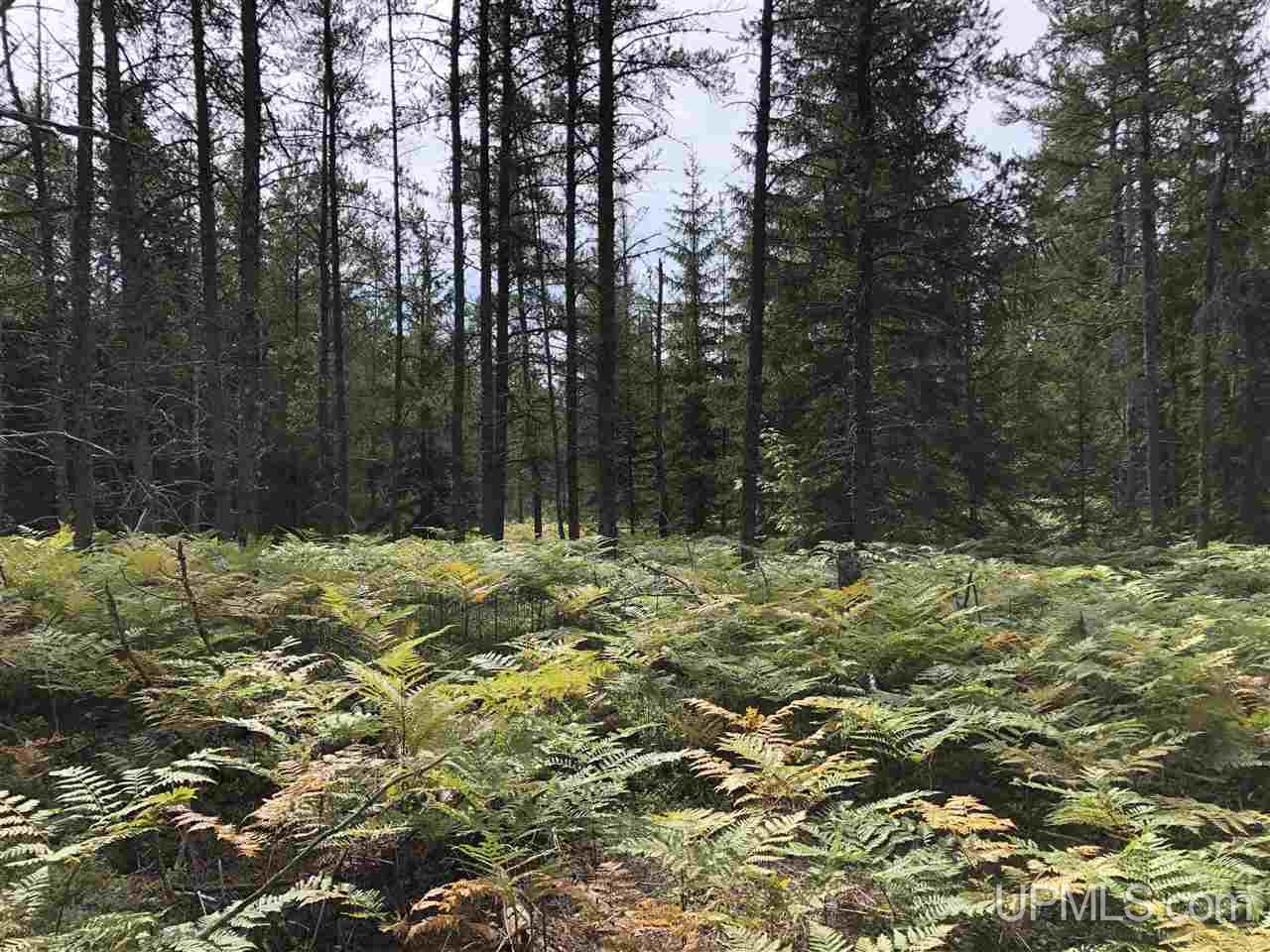 2207 West Co Road Seney, MI 49883 - Photo 29 of 32
