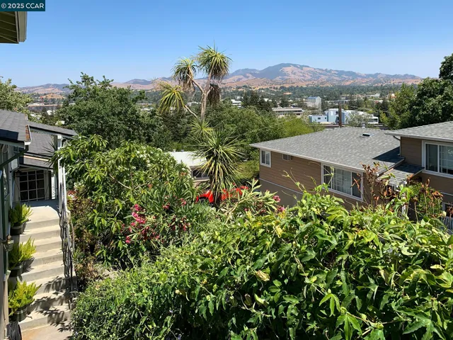 a view of a city with a mountain