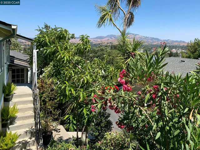 a view of a backyard with plants and a fountain