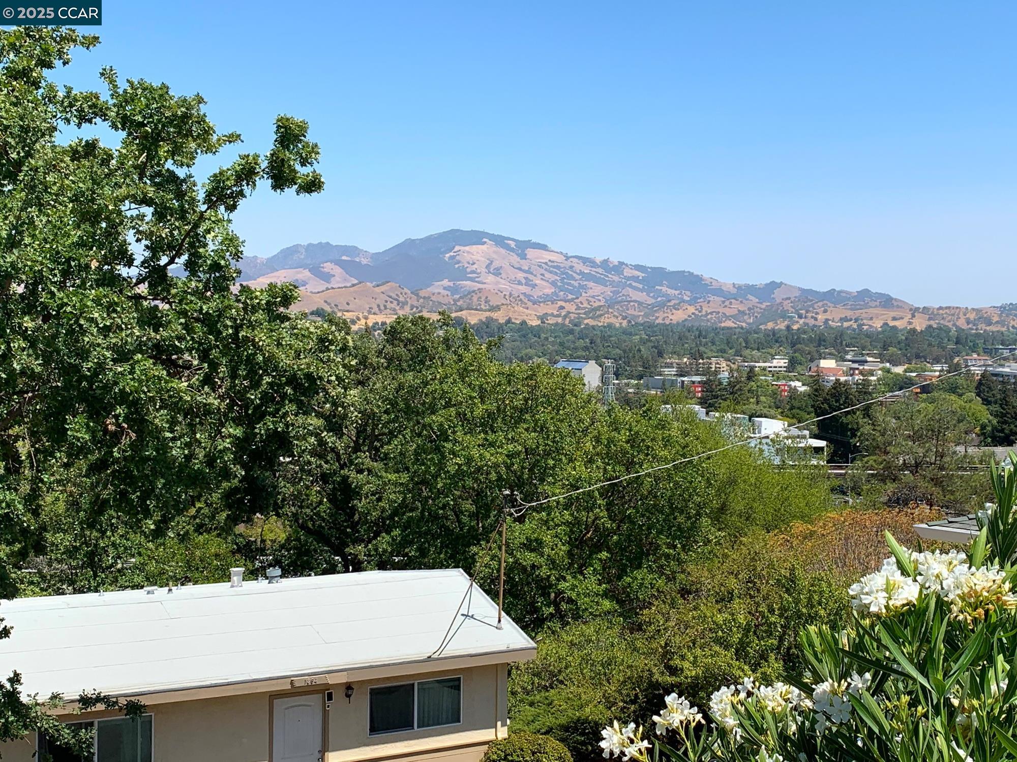 1672 Terrace Road Walnut Creek, CA 94597 - Photo 29 of 38 a view of a city with a mountain