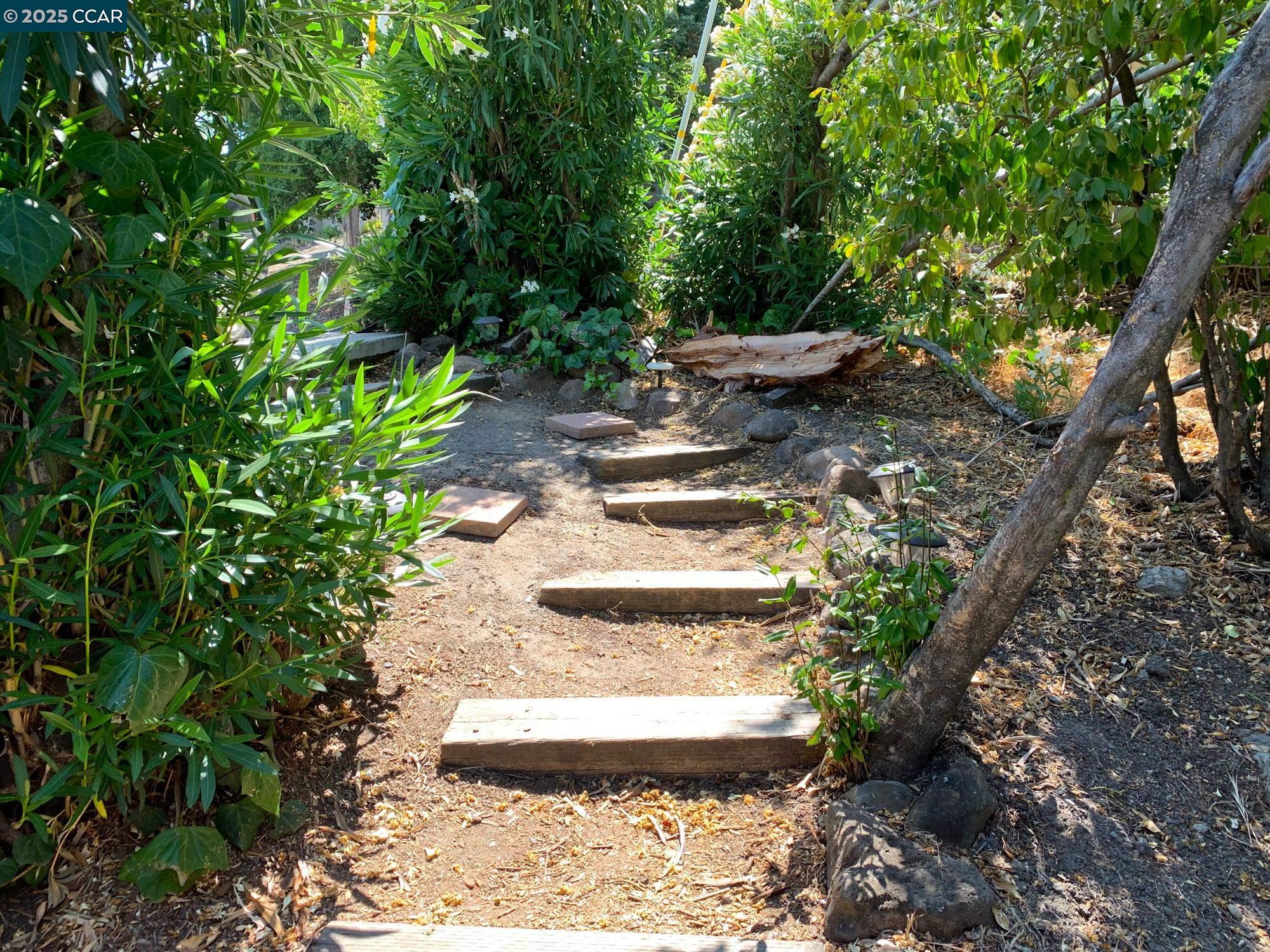 1672 Terrace Road Walnut Creek, CA 94597 - Photo 30 of 38 a view of a backyard with plants and a fountain