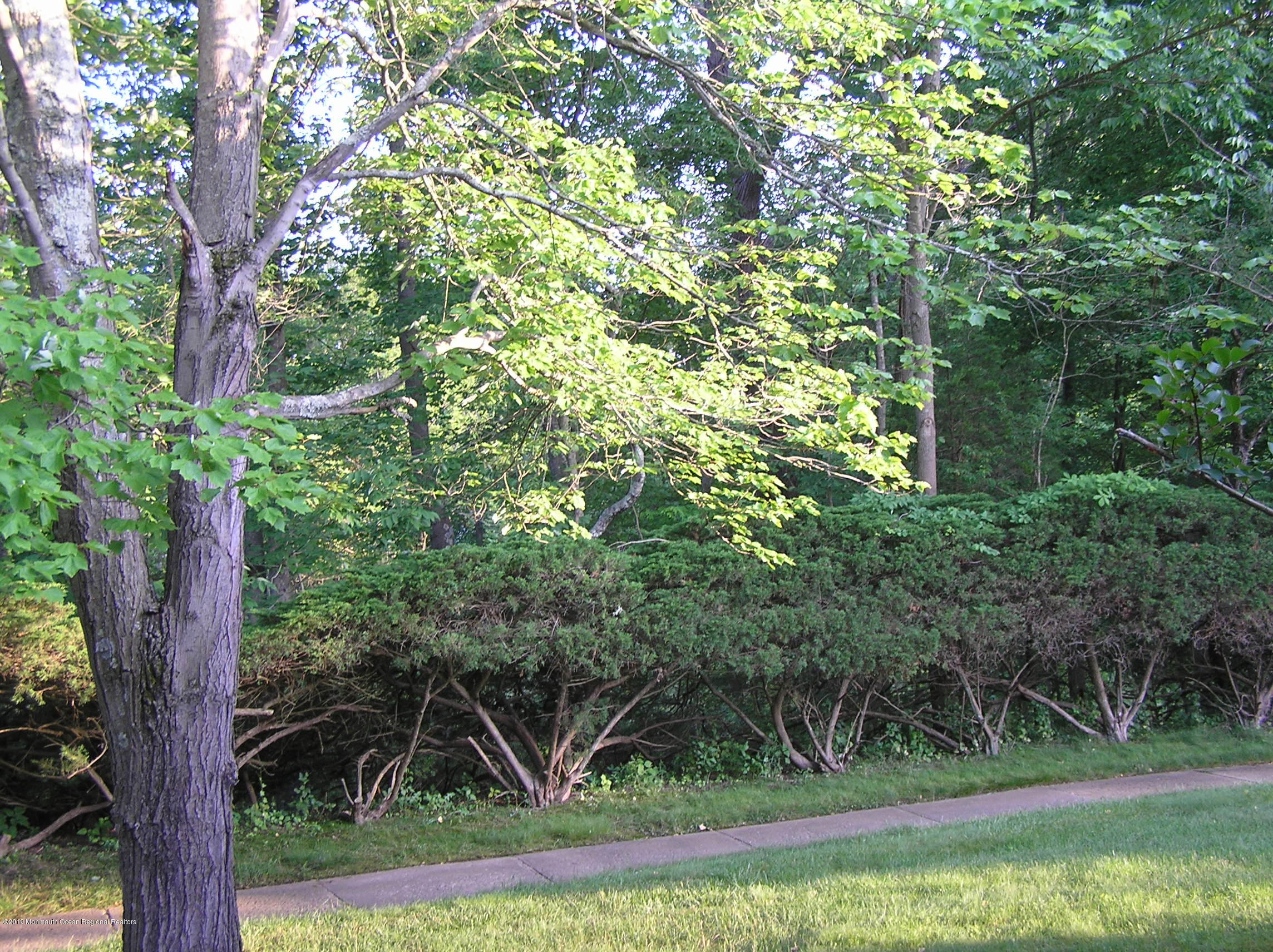 99 A Evesham Road, Unit A Freehold, NJ 07728 - Photo 33 of 34 rear view