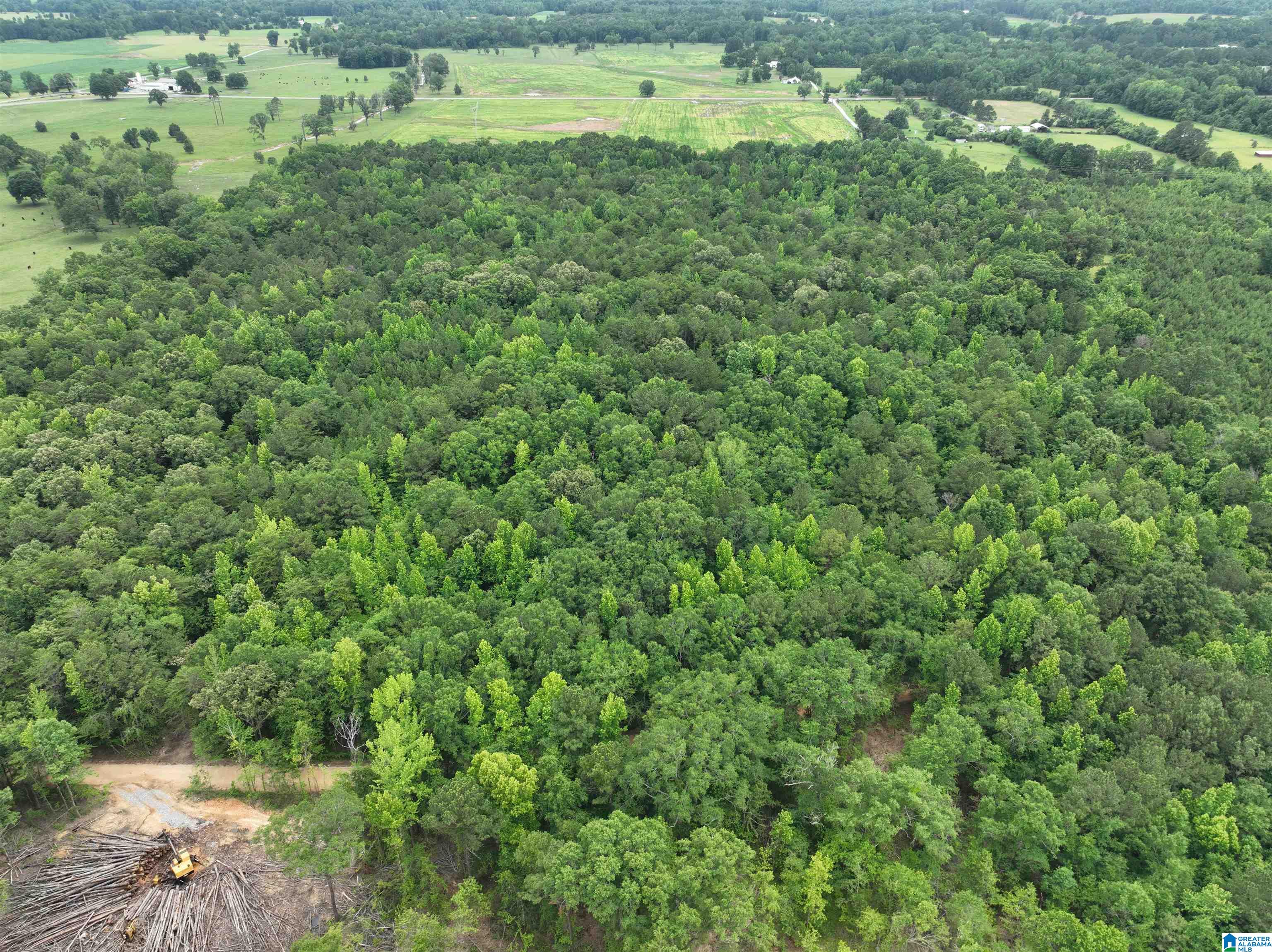 Jackson Farm Road Wilsonville, AL 35186 - Photo 7 of 13 Gallery Image 7