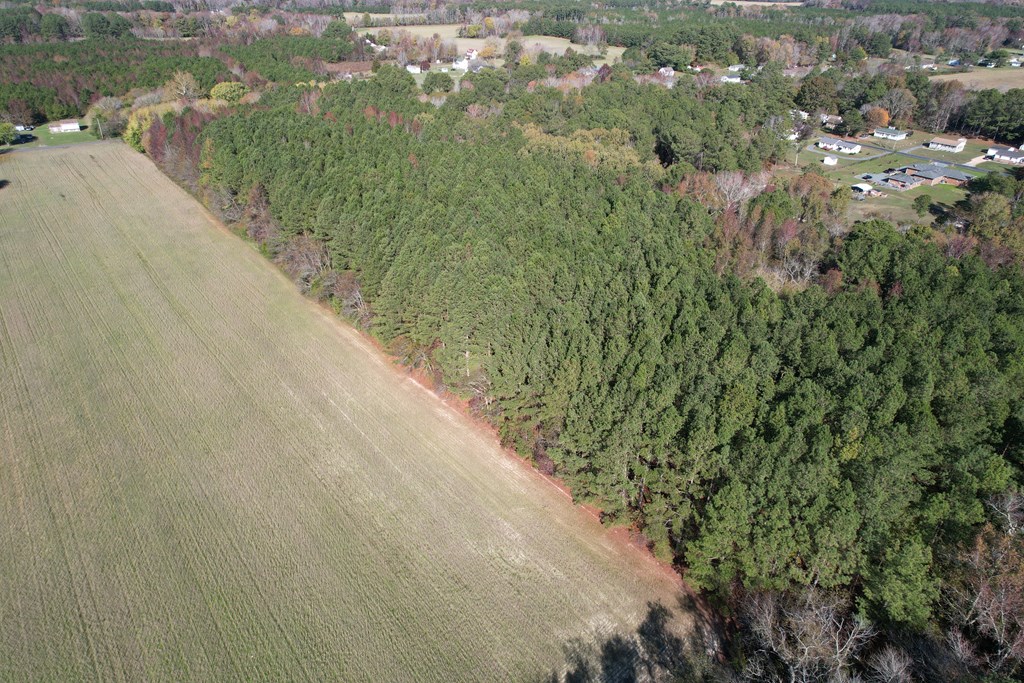 8-acres Redwood Road Onancock, VA 23417 - Photo 4 of 28