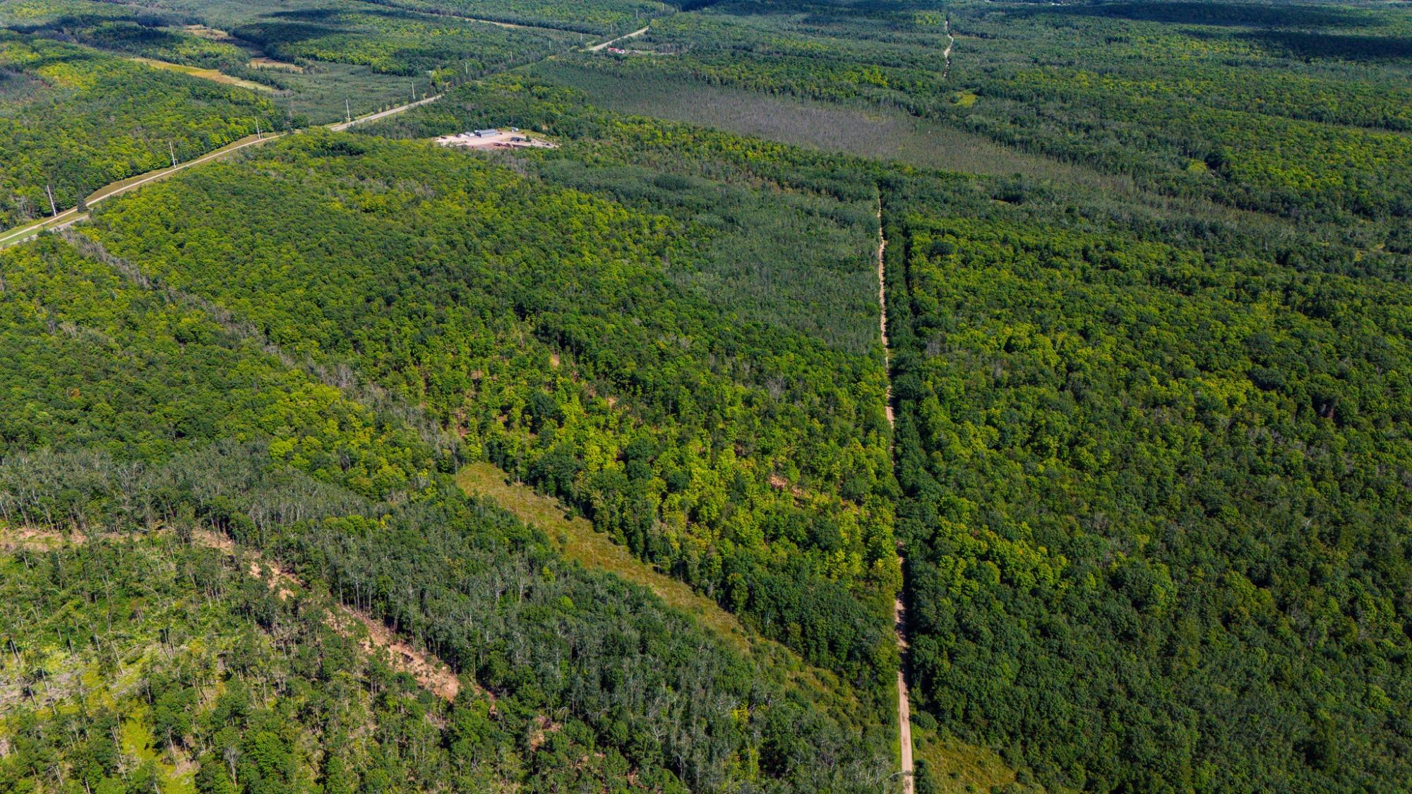 40-acres Ison Road Crandon, WI 54520 - Photo 9 of 31 Gallery Image 9