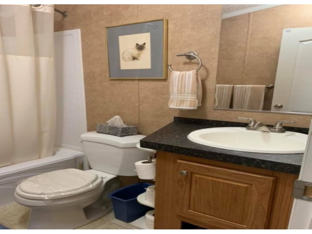 849 Greystone Road Greeneville, TN 37743 - Photo 17 of 28 Guest vanity