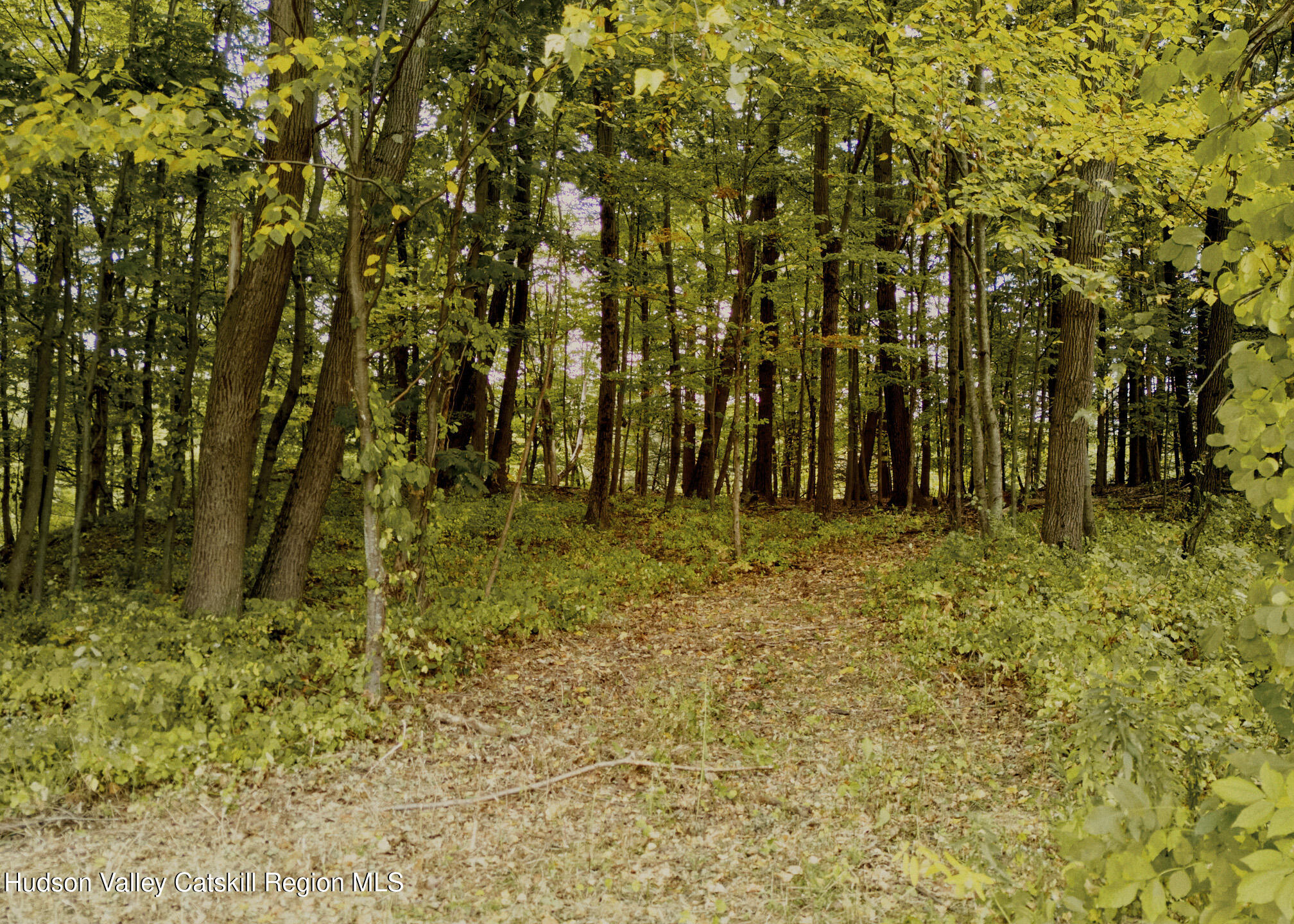 1320 River Road Schodack, NY 12156 - Photo 16 of 27 Copy of 2024.09.24_LM_SCHODACKLANDING__0