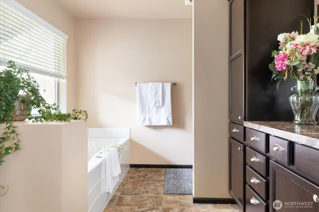 a bath room with a potted plant