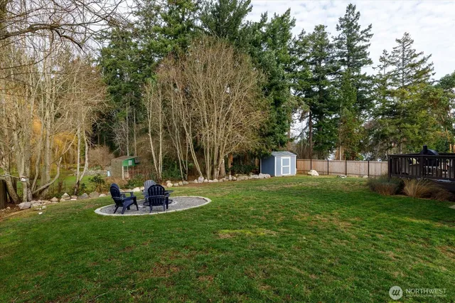 a view of a backyard with plants and a tree