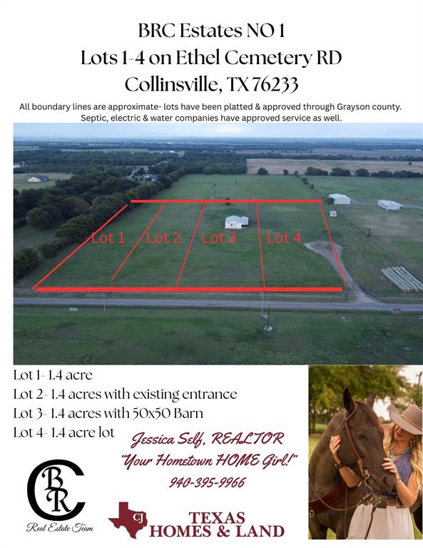 Lot 4 Ethel Cemetery Road Collinsville, TX 76233 - Photo 2 of 3