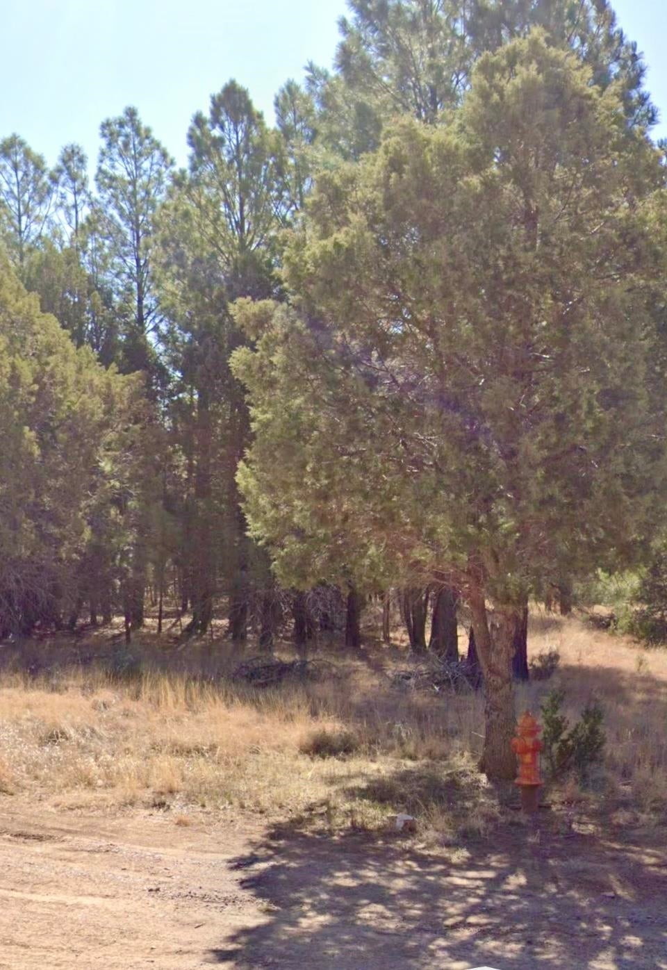 39 Shale Loop Timberon, NM 88350 - Photo 1 of 1 Gallery Image 1