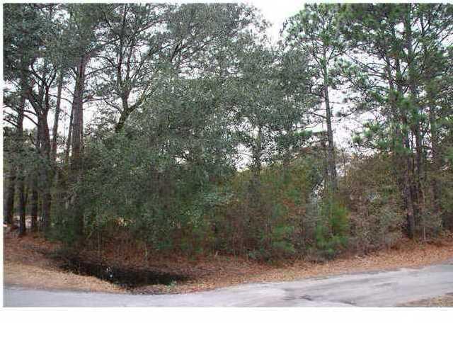 5756 Bears Bluff Road Wadmalaw Island, SC 29487 - Photo 3 of 4 5756 BB road frontage