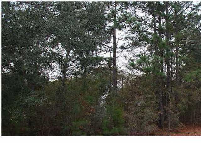 5756 Bears Bluff Road Wadmalaw Island, SC 29487 - Photo 4 of 4 5756 BB woods