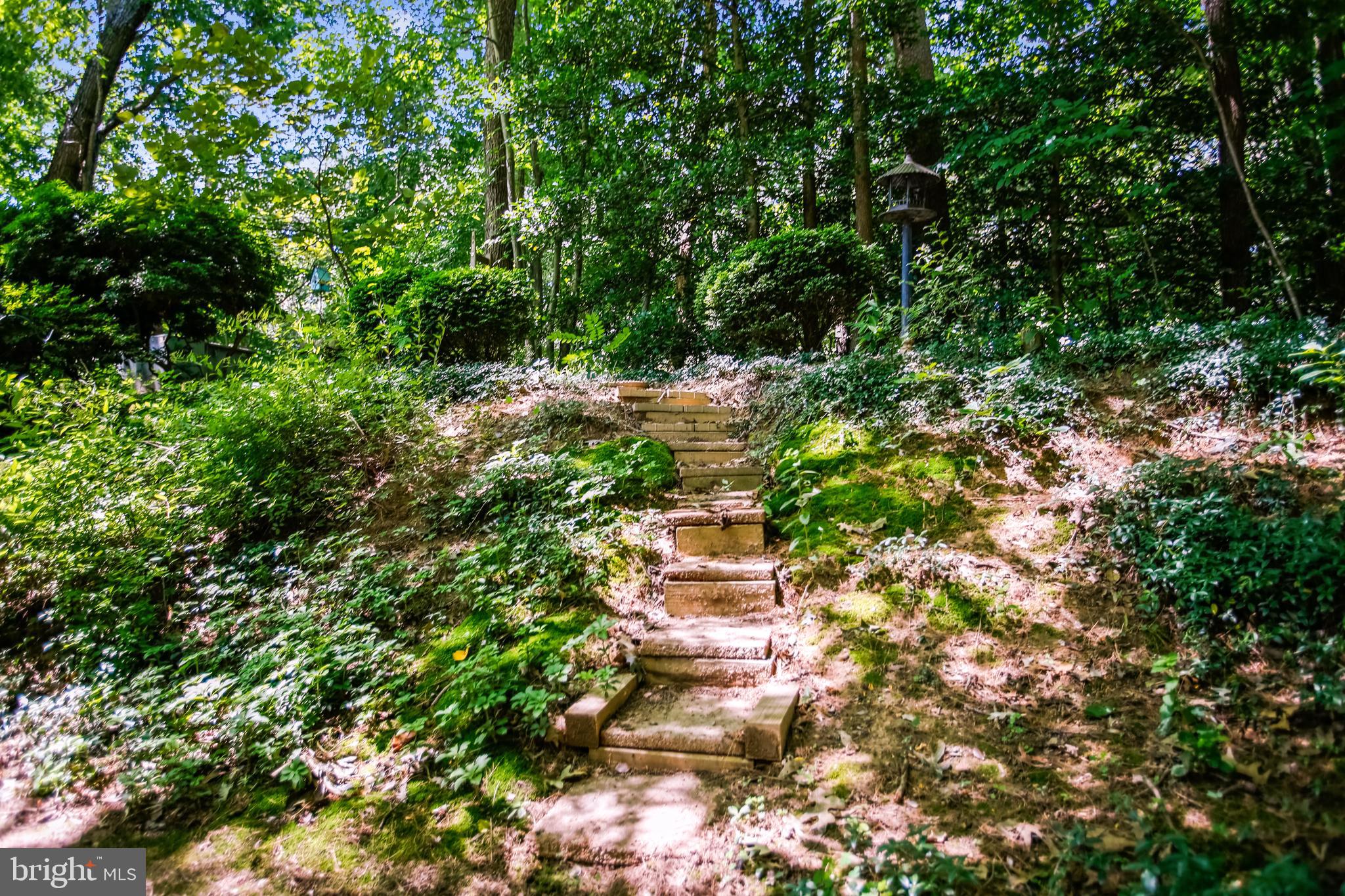 2180 Pond View Court Reston, VA 20191 - Photo 34 of 35 Private back yard