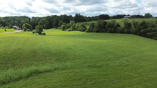 a view of an outdoor space and a yard