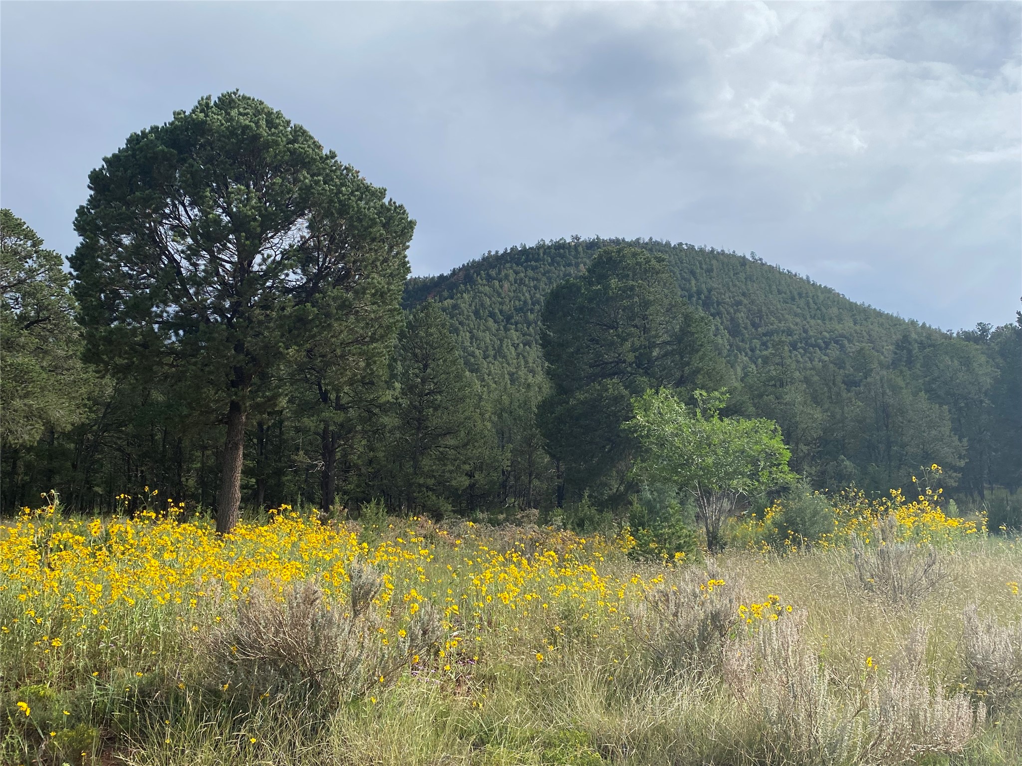 45 The Cliffs View Glorieta, NM 87535 - Photo 10 of 11