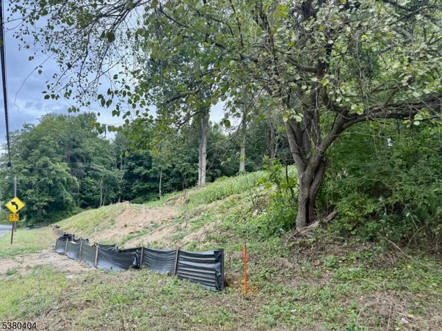 a view of a backyard with large trees