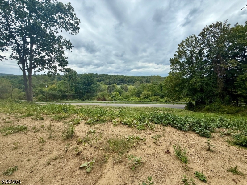 111 Munsonhurst Road Franklin, NJ 07416 - Photo 14 of 16 a view of a field with trees