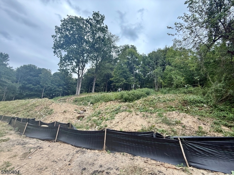 111 Munsonhurst Road Franklin, NJ 07416 - Photo 2 of 16 a view of a yard from a balcony