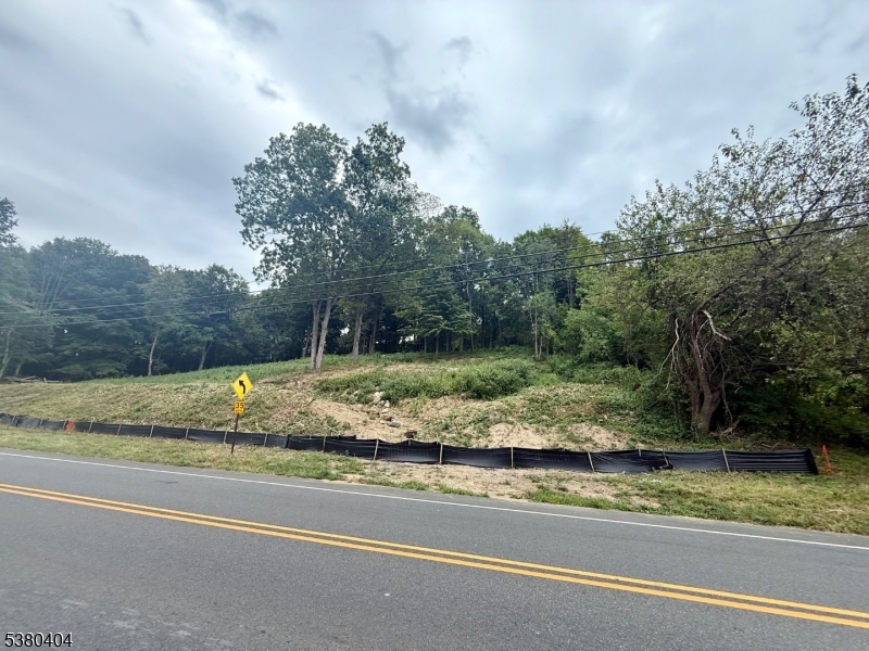 111 Munsonhurst Road Franklin, NJ 07416 - Photo 3 of 16 a view of a yard with large trees