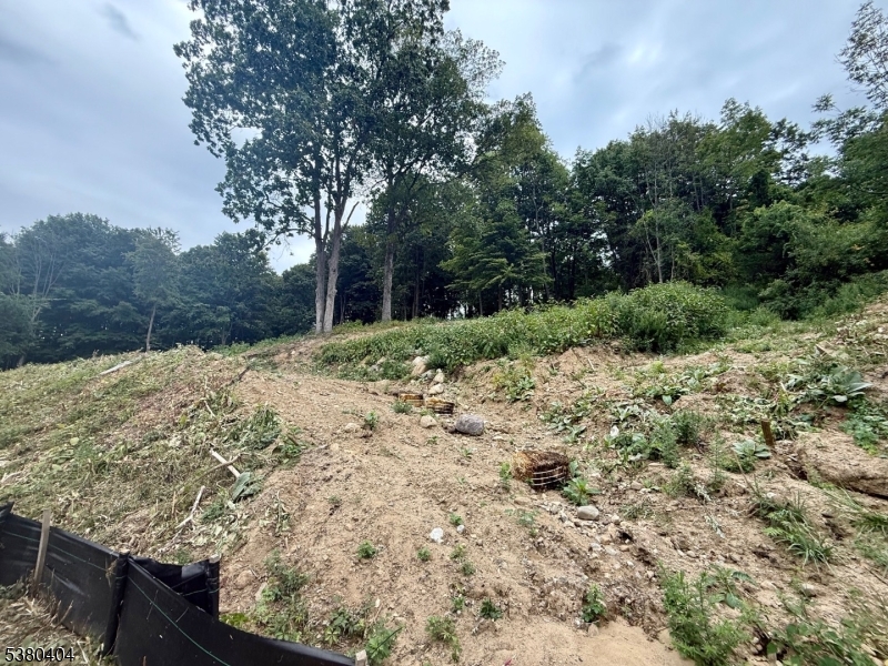 111 Munsonhurst Road Franklin, NJ 07416 - Photo 6 of 16 a view of a yard with plants and trees