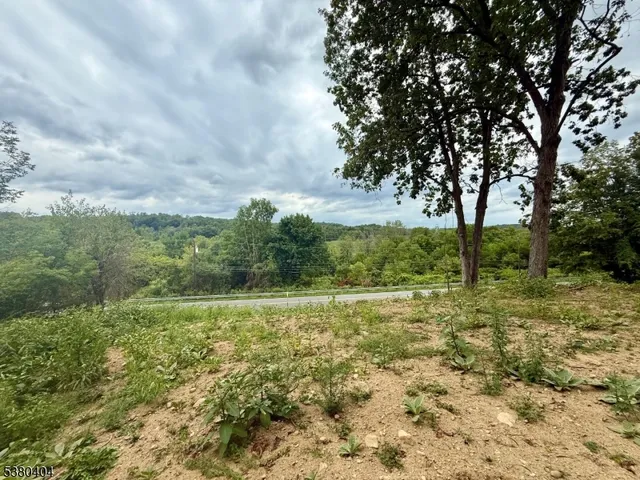 a big yard with lots of green space