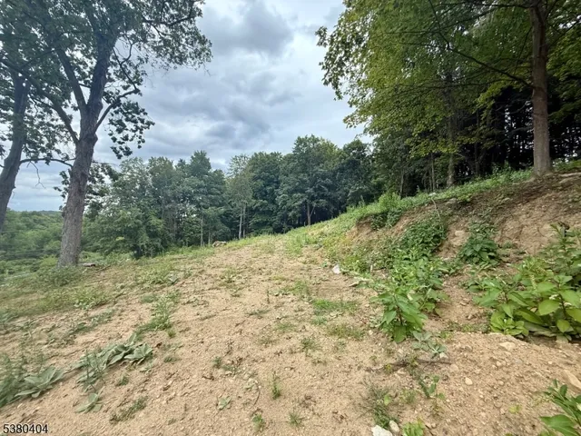 a view of a dry yard with trees