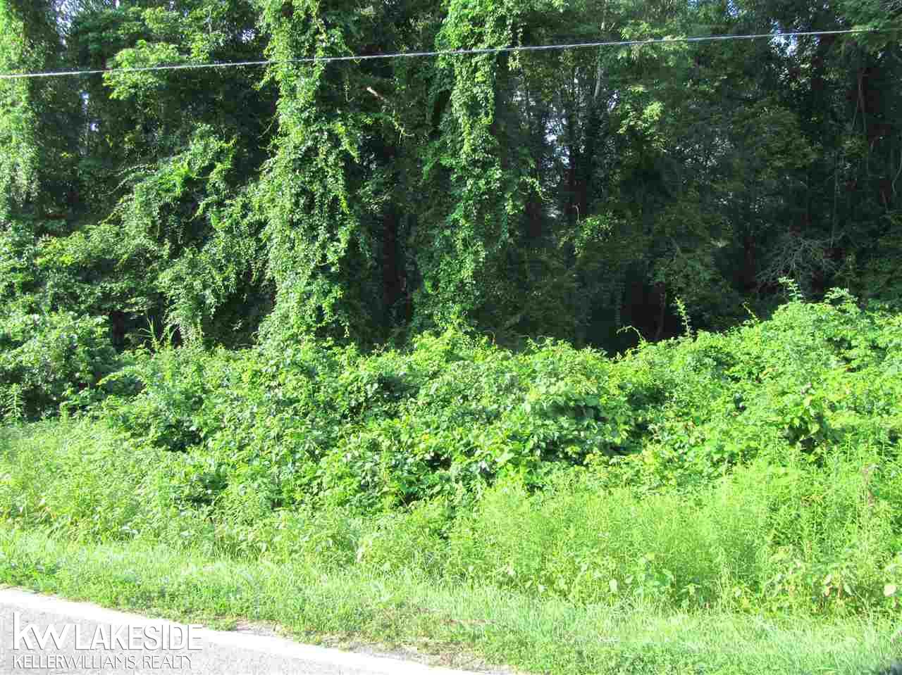 Parcel A Stone Algonac, MI 48001 - Photo 1 of 2