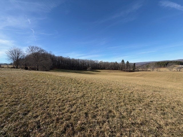 414 Citizens Road Rural Retreat, VA 24368 - Photo 4 of 41 Gallery Image 4