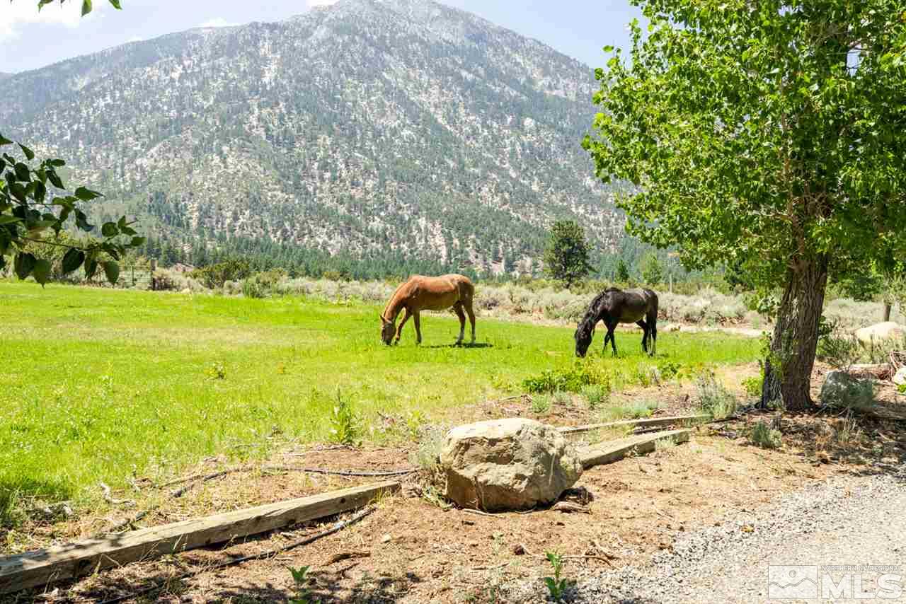 310 Foothill Road Gardnerville, NV 89460 - Photo 4 of 39 Photo 4