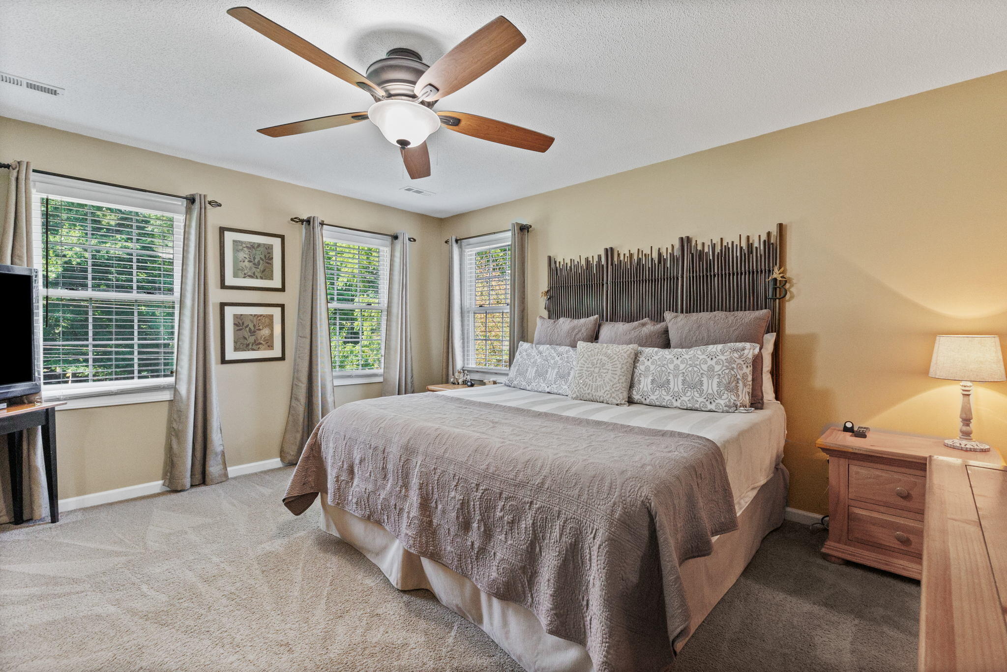 1103 Hillendale Road Gray, TN 37615 - Photo 17 of 46 21-web-or-mls-217A6544