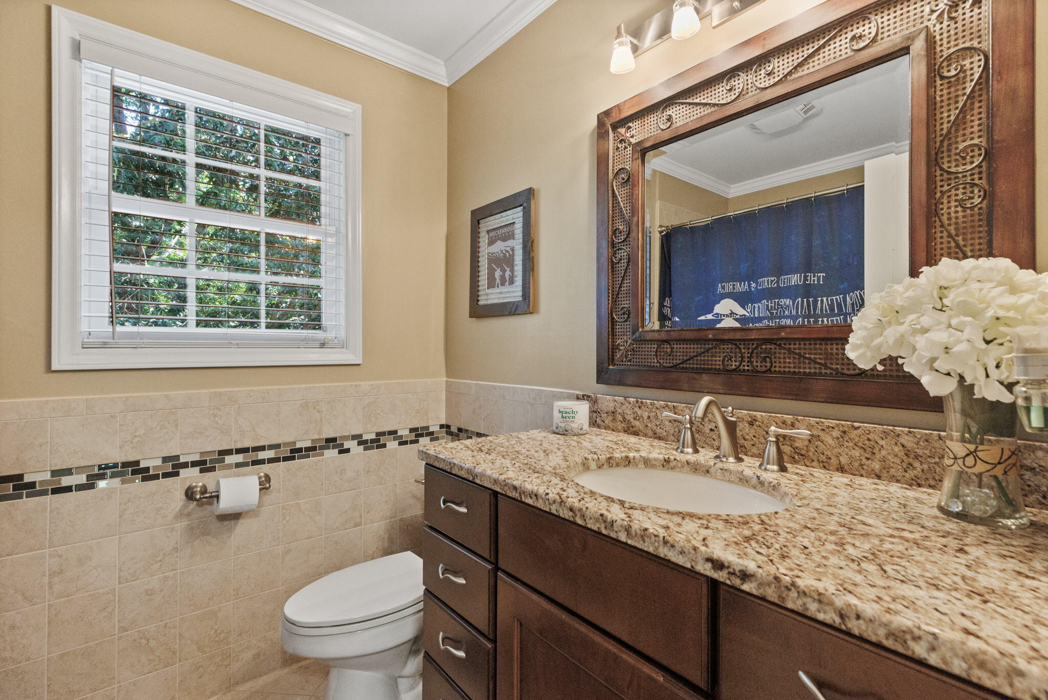 1103 Hillendale Road Gray, TN 37615 - Photo 24 of 46 17-web-or-mls-217A6525