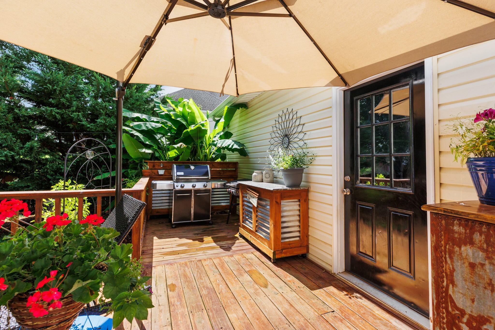 1103 Hillendale Road Gray, TN 37615 - Photo 34 of 46 35-web-or-mls-217A6593